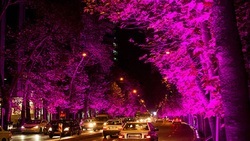 از