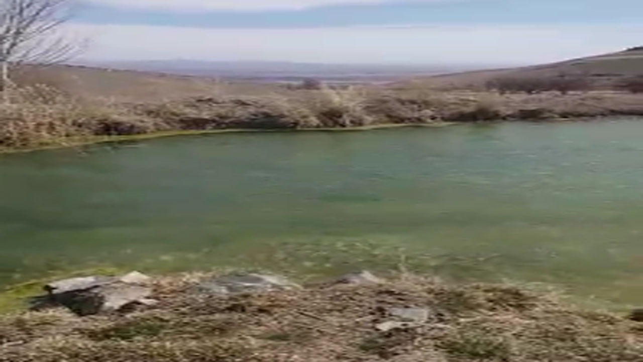 نمایی از طبیعت بهاری در روستای تکیه + فیلم