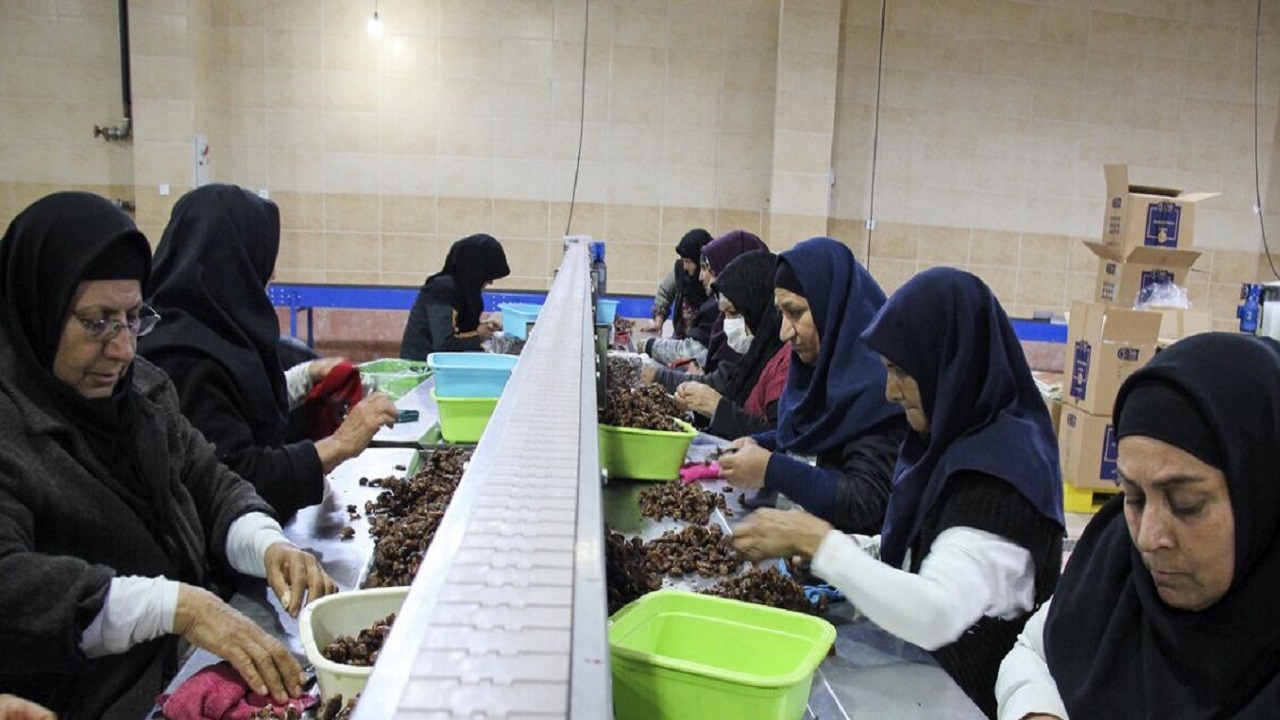 رویداد شتاب مجازی بسته‌بندی خرما سیستان و بلوچستان برگزار شد