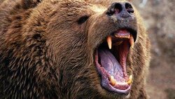 تصادف وحشتناک یک خودرو با دو عابر پیاده + فیلم