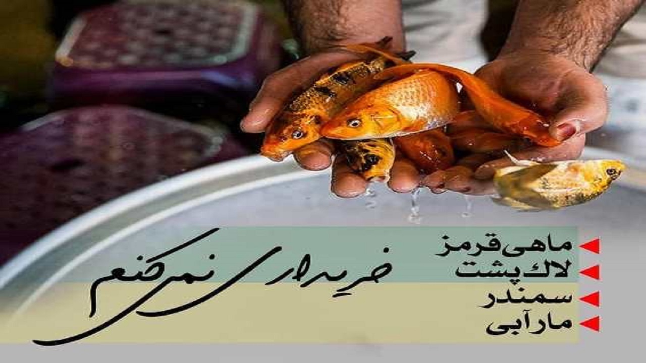 برخورد قانونی با عرضه کننده گان گونه های در حال انقراض جانوری