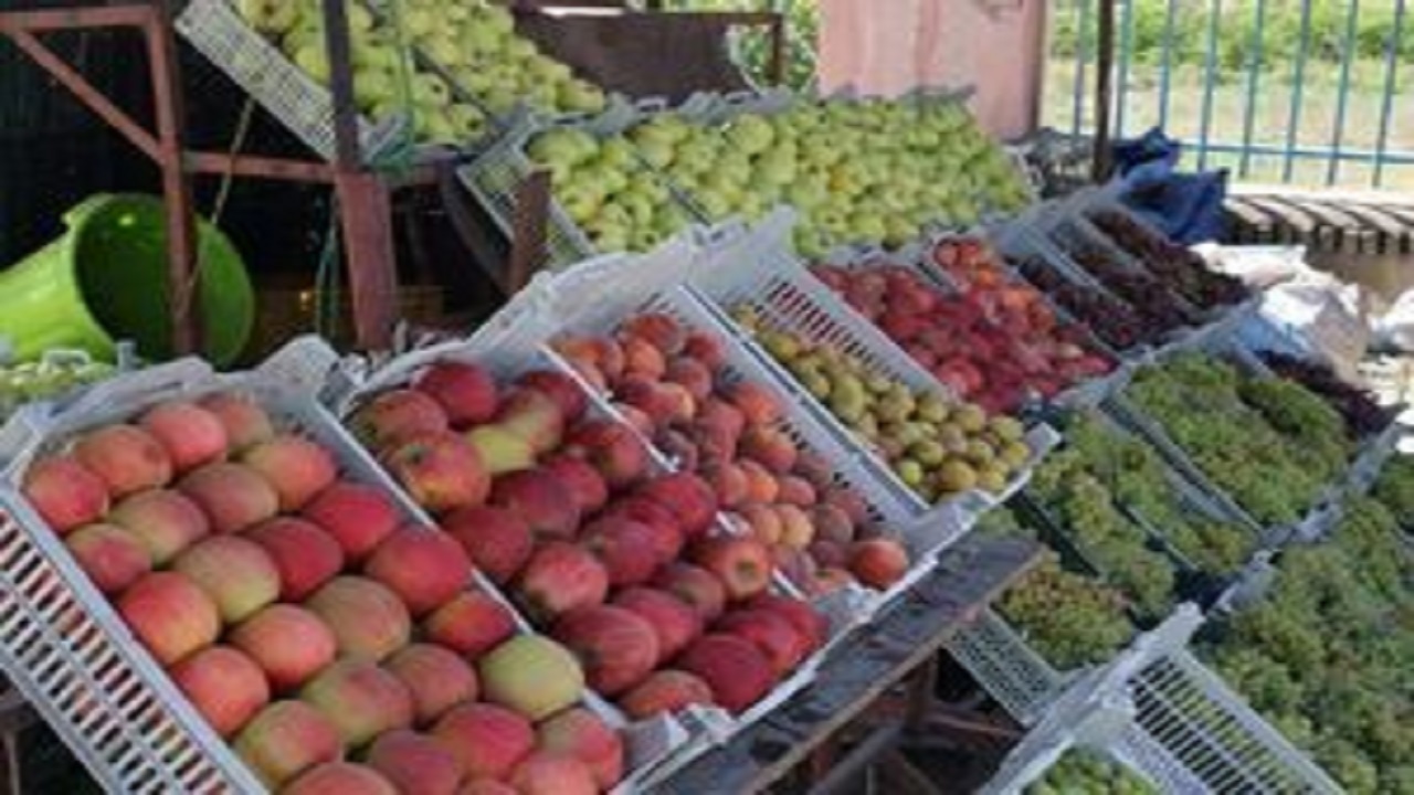 خراسان رضوی بیشترین روستابازار کشور را دارد