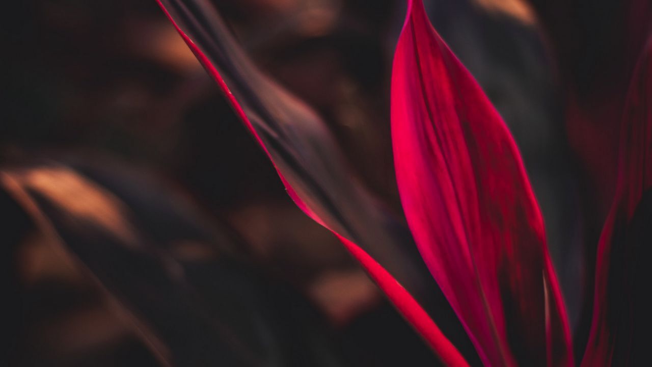 جذاب&zwnj;ترین تصاویر پس زمینه