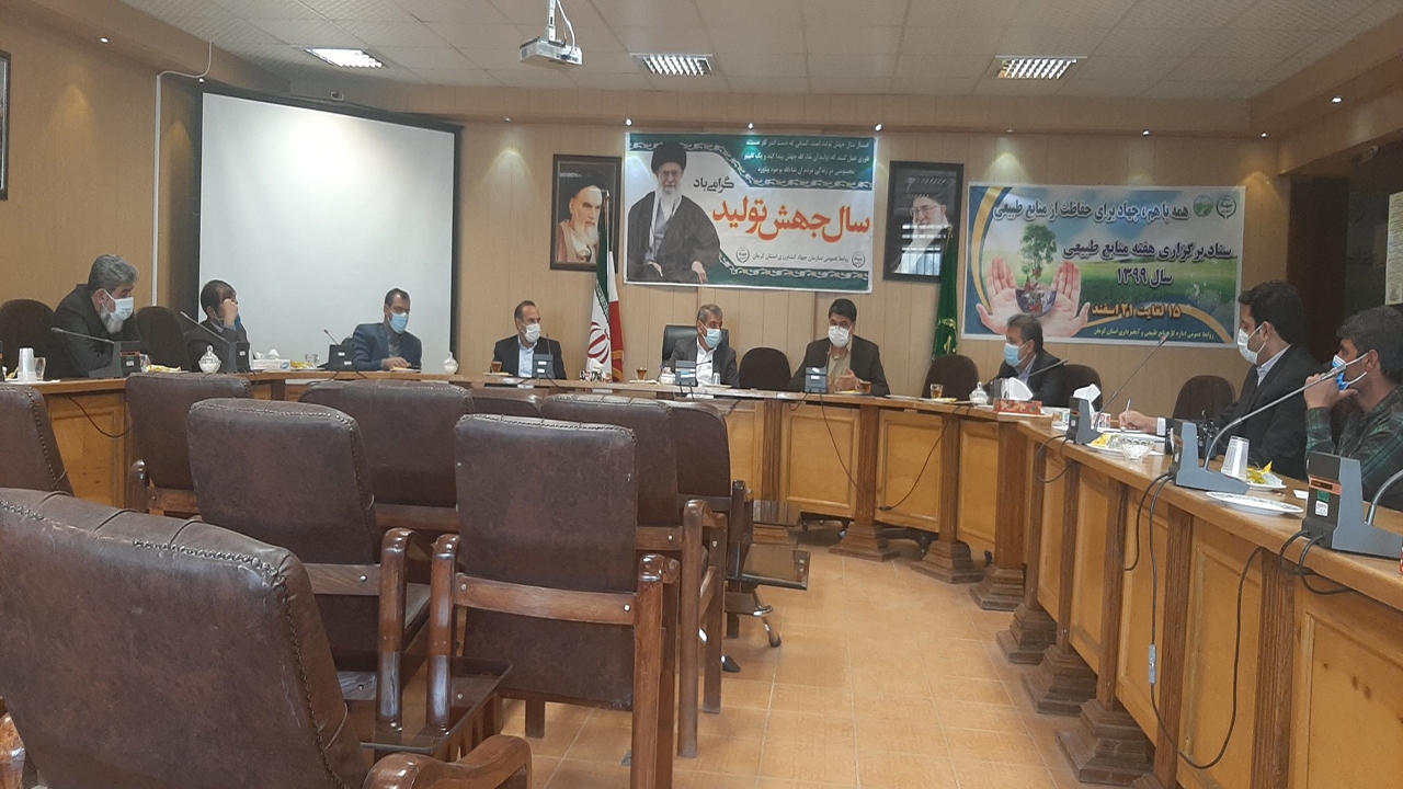 کاشت نهال به یاد سردار دل ها/ زراعت چوب، هدف منابع طبیعی
