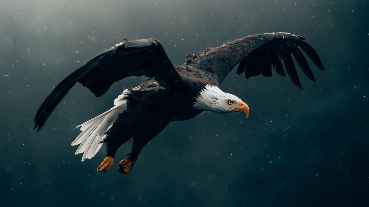 جذاب&zwnj;ترین تصاویر پس زمینه