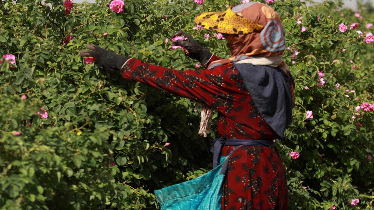جشنواره توانمندی‌های زنان روستایی در هشترود برگزار شد