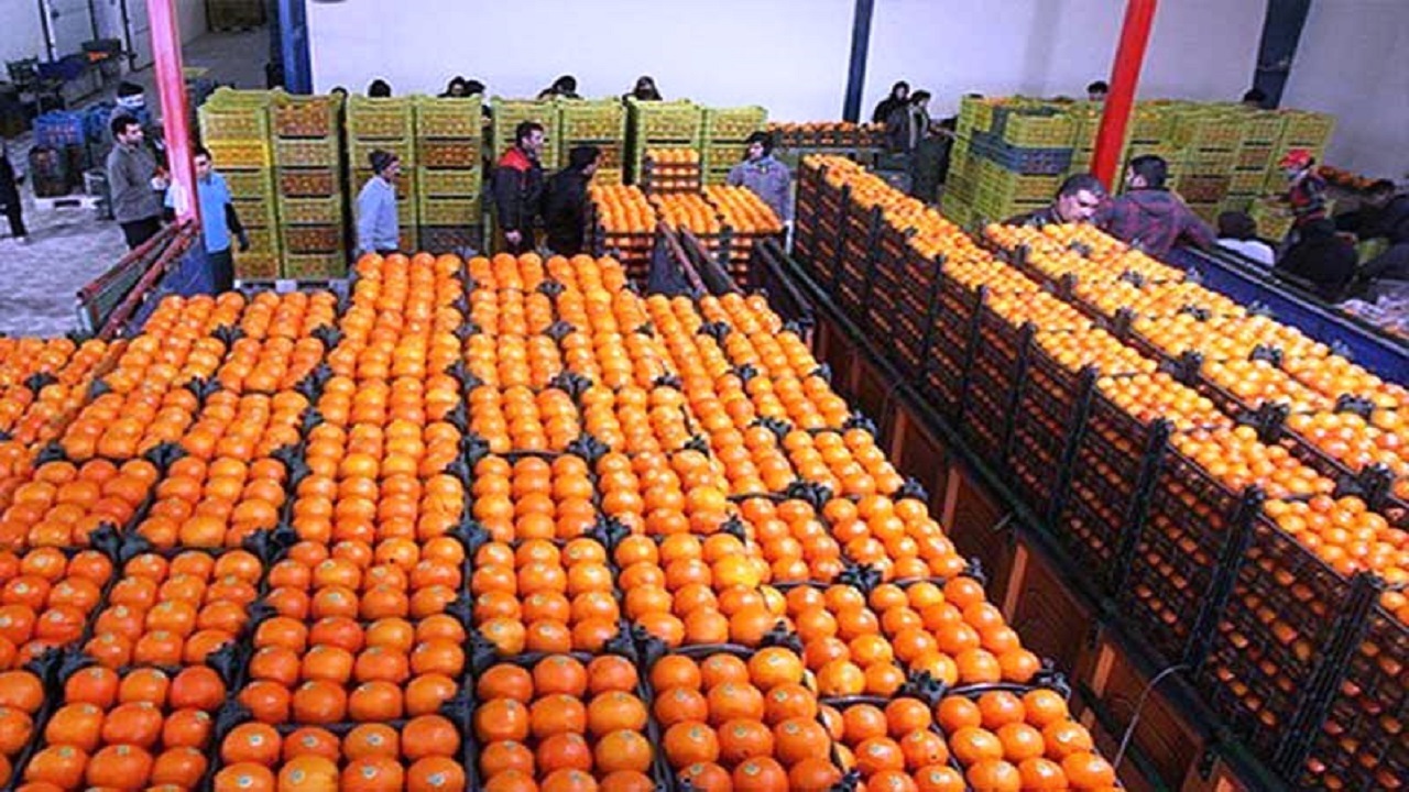 توزیع ۱۱۰ تن میوه شب عید در دامغان