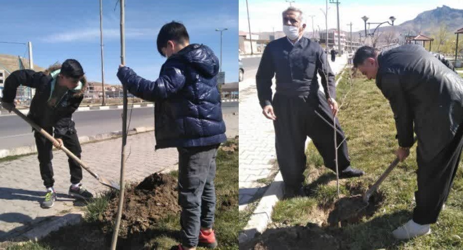 دوچرخه سواران مهابادی با کاشت نهال به استقبال بهار رفتند