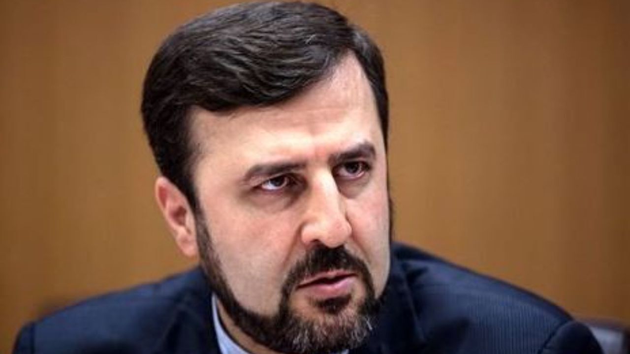 غریب آبادی: هیچ دسترسی فراپادمانی به آژانس اعطا نمی‌شود