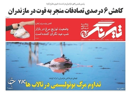 تداوم مرگ بوتولیسمی در تالای&zwnj;ها / سیاست&zwnj;های اشتباه سیمانی