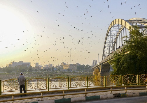 پل هلالی سازه ای که ابتدایش سفید و انتهایش سیاه استپل هلالی، سفید به رنگ زندگی و سیاه به جرم خودنمایی و سهل انگاریپرواز با پرندگان مهاجر قصه غم انگیز پل سفید/  چرا دستگاه&zwnj;های اجرایی امنیت را تامین نمی&zwnj;کنند؟