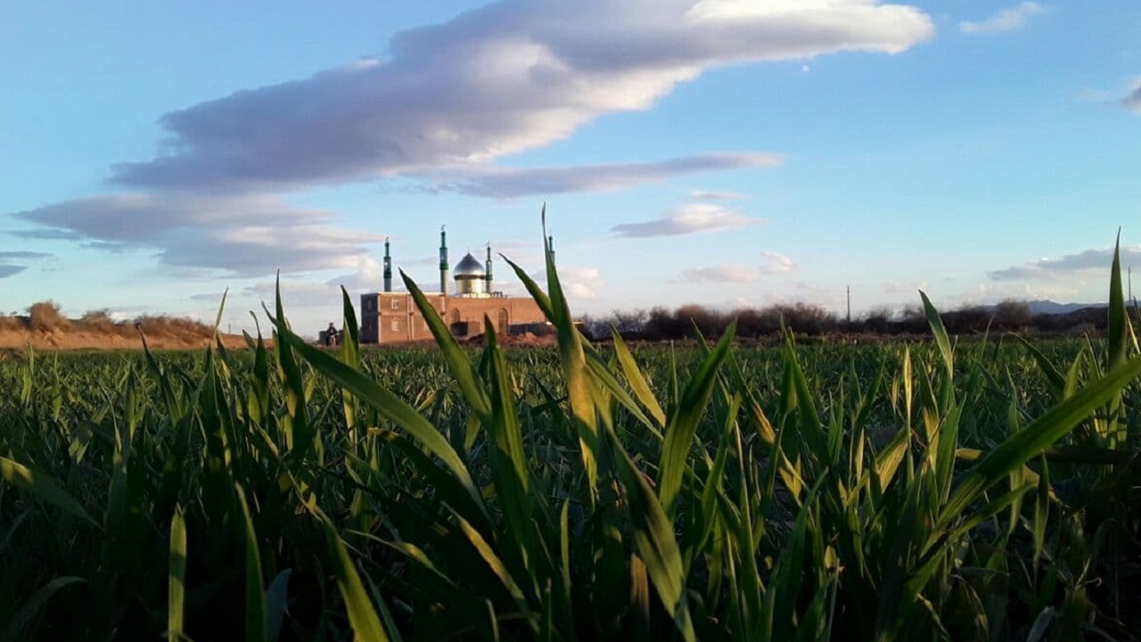 نمایی زیبا از مسجد و امام زاده روستای طرزک + تصاویر