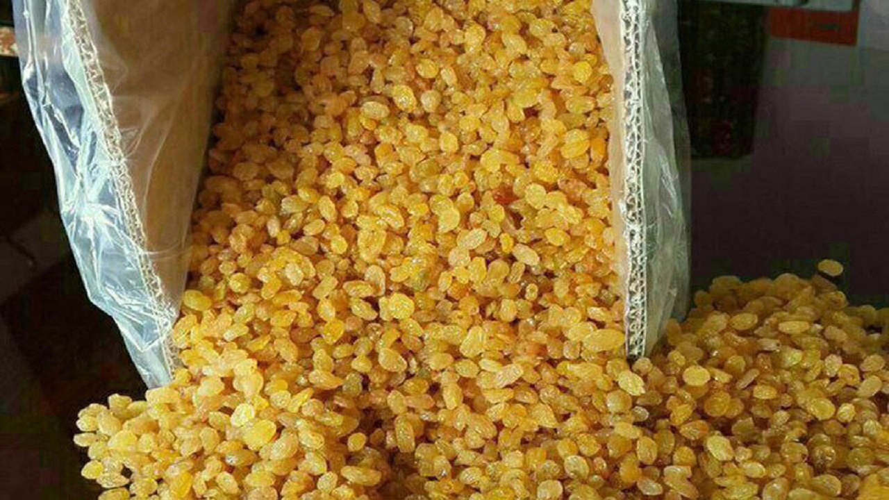 تسهیلات کم بهره برای خرید حمایتی کشمش تاکستان پرداخت می‌شود