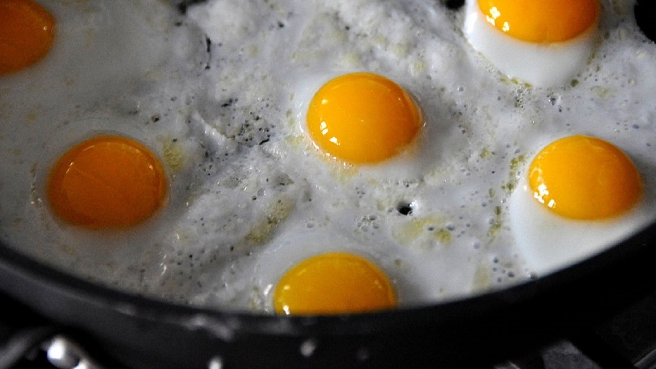 بهترین مواد غذایی برای تقویت حافظه و تمرکز