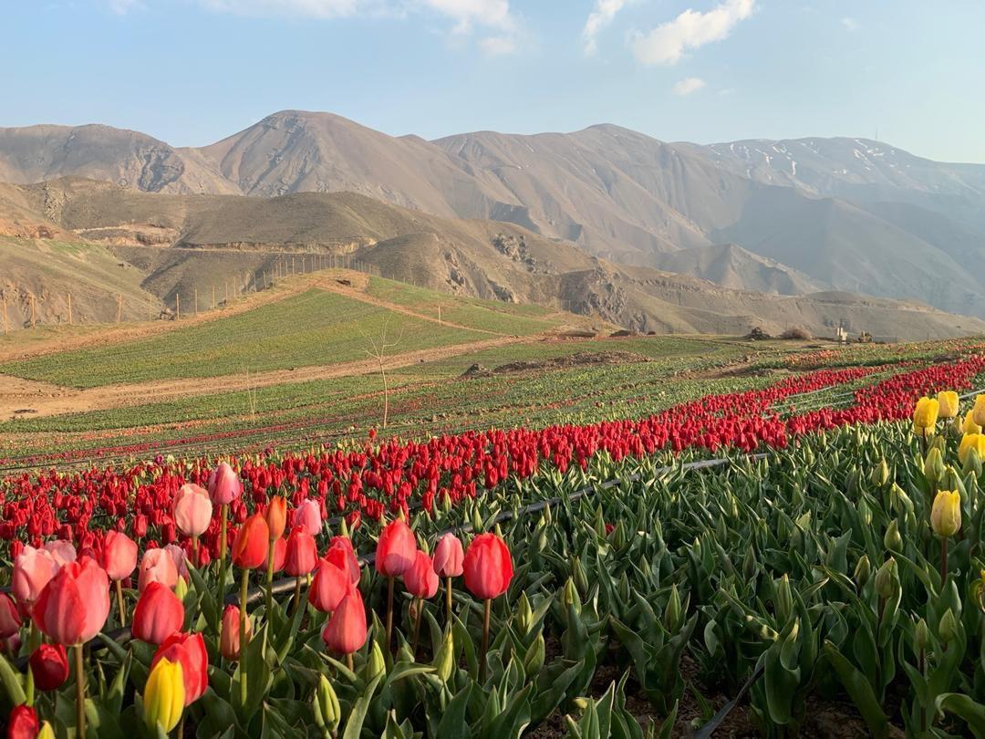 از نجات به موقع یک کودک از حادثه دردناک تا درد و دل پرستار بیمارستان طالقانی با مردم + فیلم و تصاویر