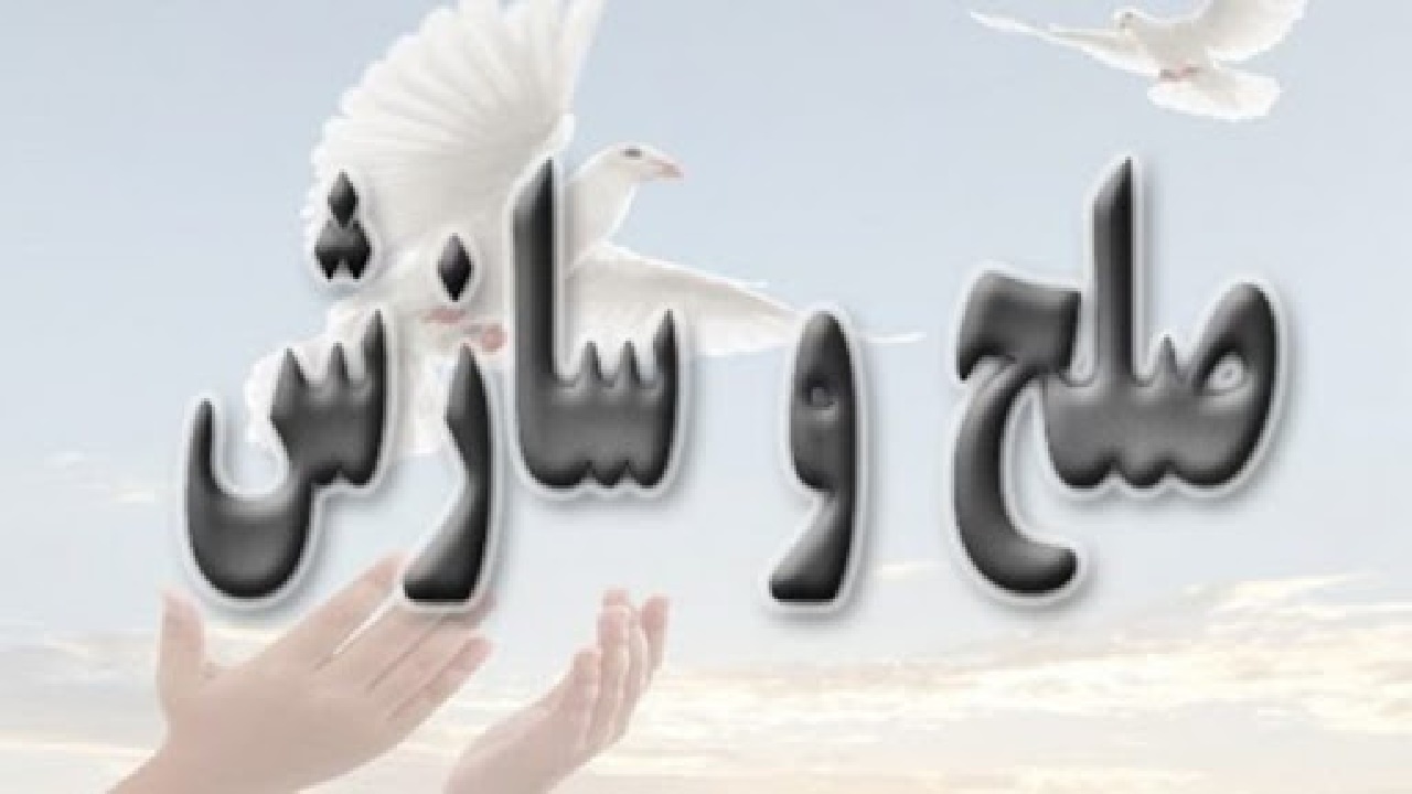 مصالحه ۷۷ درصدی پرونده‌های ارجاعی به دوایر مشاوره
