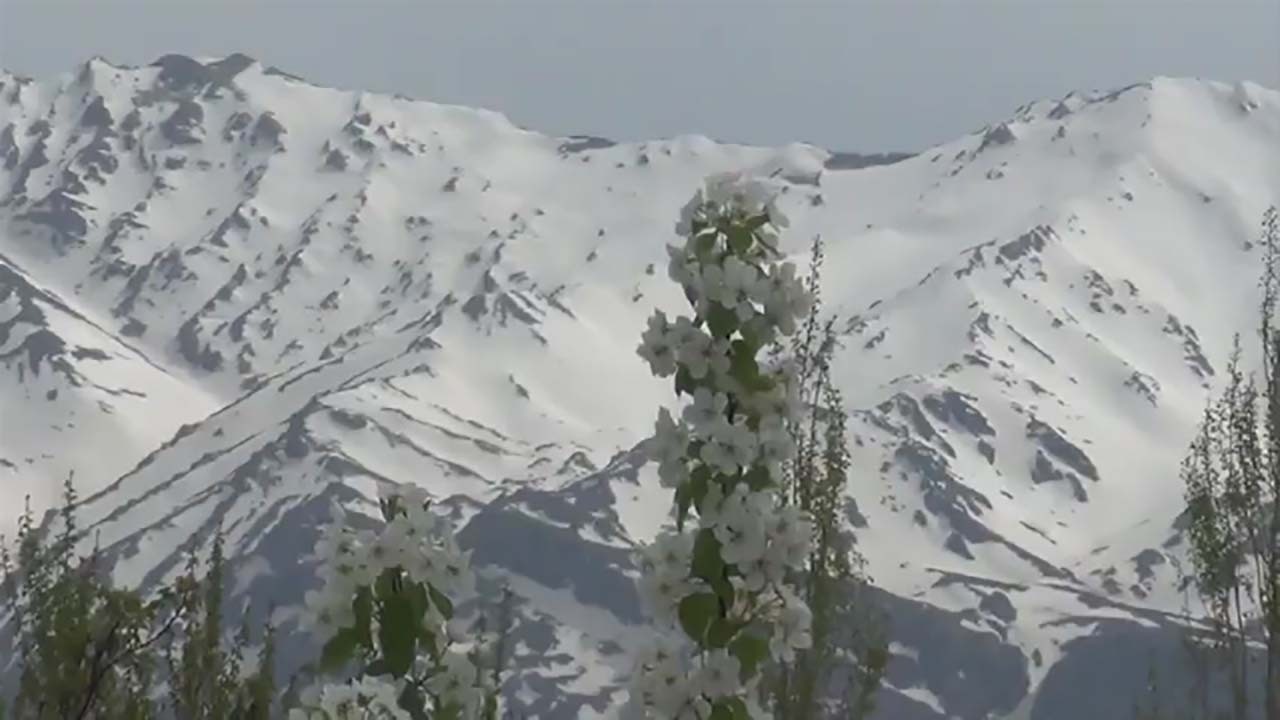 از از