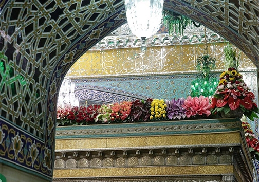تلفات پرندگان میانکاله تا کی ادامه می یابد؟/