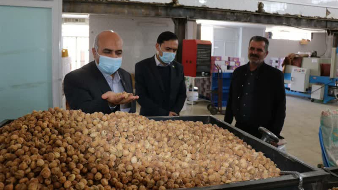 ایجاد شهرک صنعتی تخصصی انجیراستهبان با اجرای طرح توسعه شهرک صنعتی