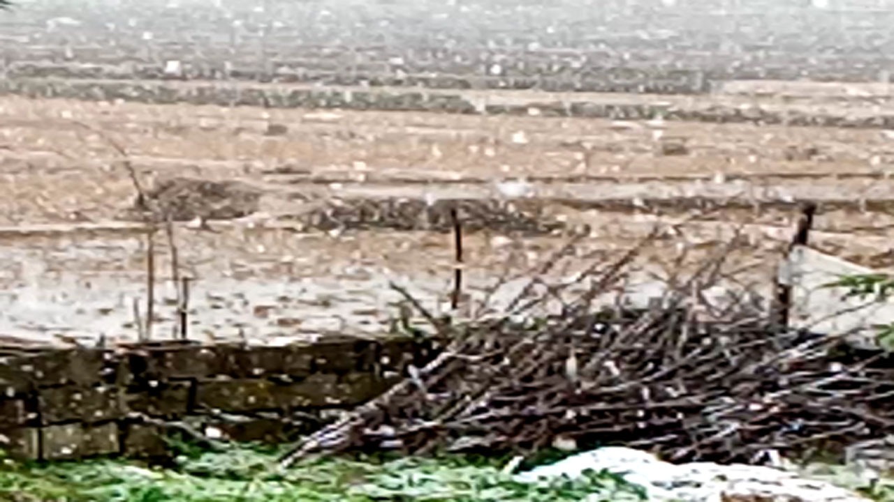 بارش برف در روستای گسکره + فیلم