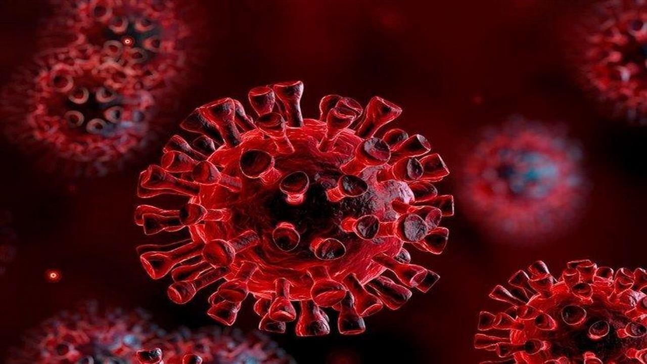 شناسایی ۴۲ مورد جدید مبتلا به کرونا ویروس در ایلام طی شبانه روز گذشته