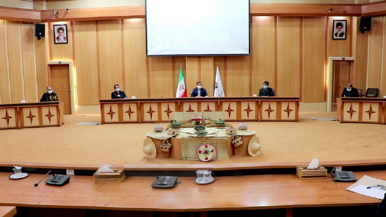 توسعه ۳۰ هزار هکتاری زراعت چوب در کشور