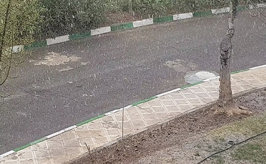 بارش نخستین برف زمستانی در قم