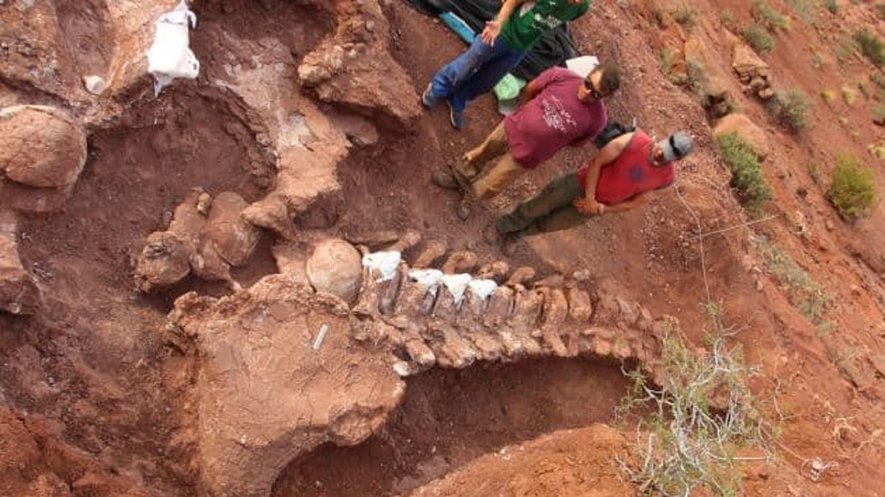 کشف بزرگترین فسیل ۹۸ میلیون ساله از یک دایناسور