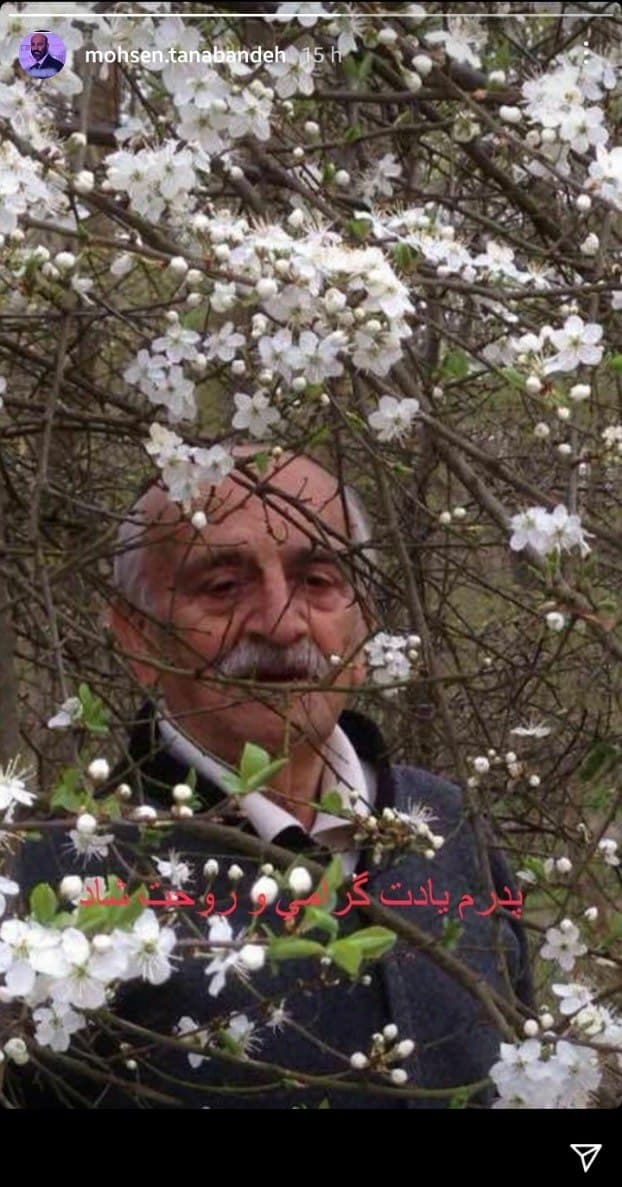 تبریک چهره های مطرح کشور به مناسبت ولادت حضرت علی (ع)