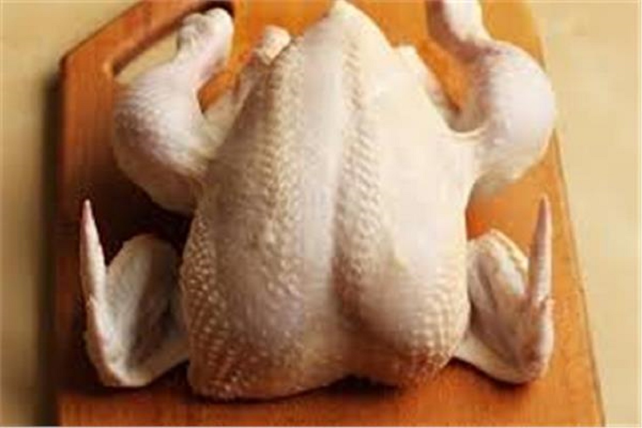 شناسایی مرغ