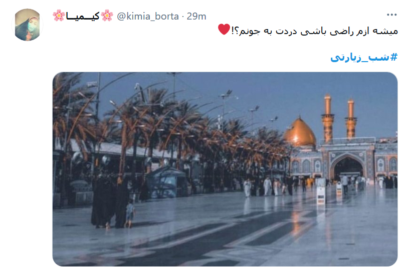 امشب شاه نجف میهمان پسران است