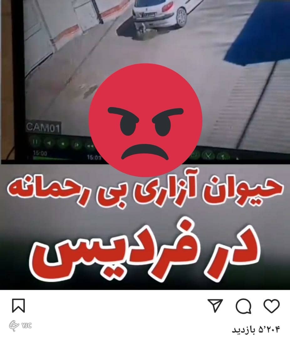 حیوان آزاری تا سرحد مرگ در فردیس/ واکنش خواندنی دادستان