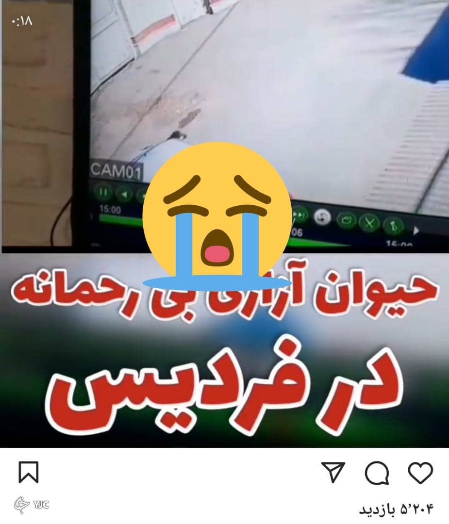 حیوان آزاری تا سرحد مرگ در فردیس/ واکنش خواندنی دادستان