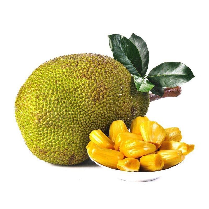 جک فروت 