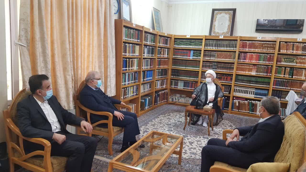 وزیر بهداشت با مراجع تقلید دیدار کرد