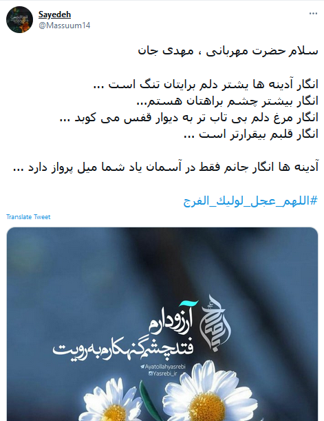 بسته ظهور