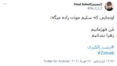 زینب یعنى حسین در آینه تأنیث.