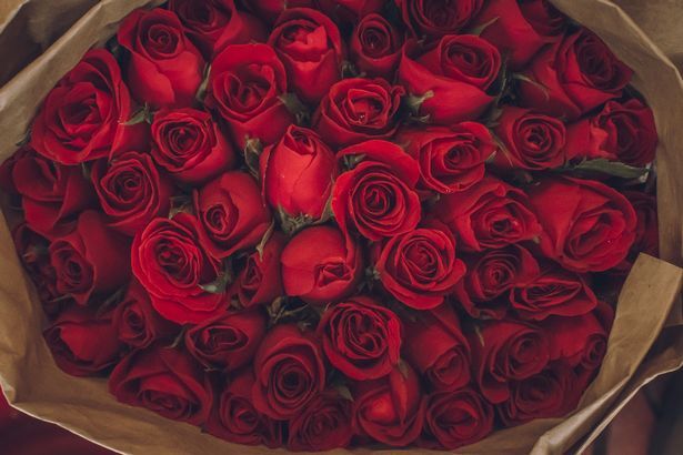 معنی پنهان گل&zwnj;هایی که برای مراسم&zwnj;های تدفین انتخاب می&zwnj;شوند