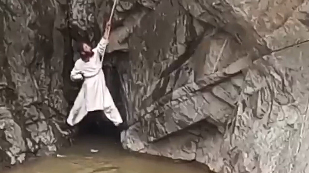 نجات شجاعانه یک کبوتر با کار گروهی + فیلم