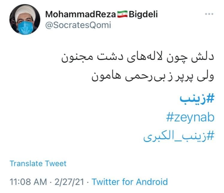 شک ندارم هزار مرتبه، به شهادت رسیده&zwnj;ای بانو/ هرچه از شوکت نامش بنویسیم کم است