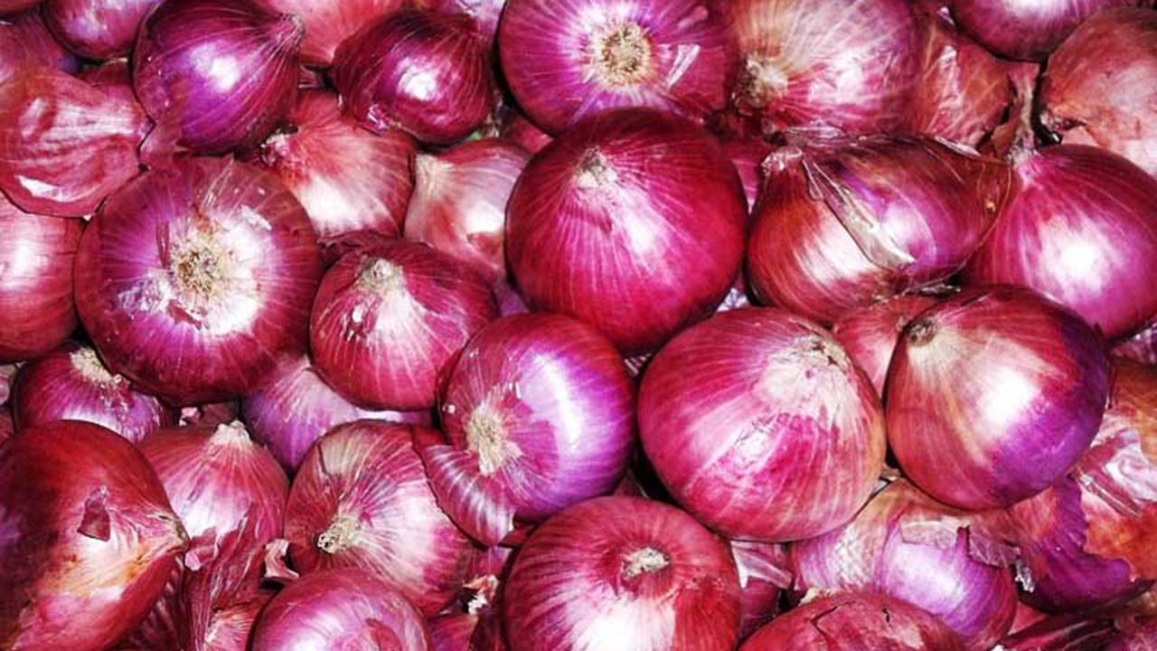 خرید اولین محموله پیاز از استان هرمزگان