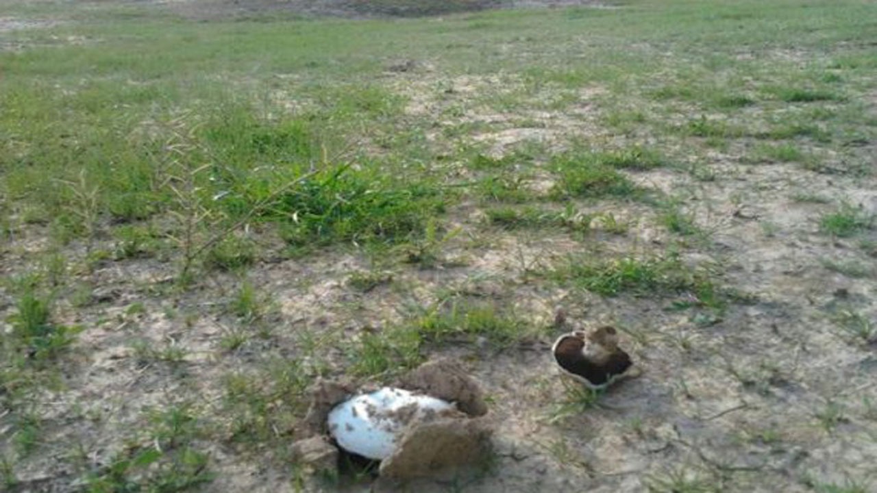 چشم‌اندازی از طبیعت دیدنی در روستای محمدجمالی + تصاویر