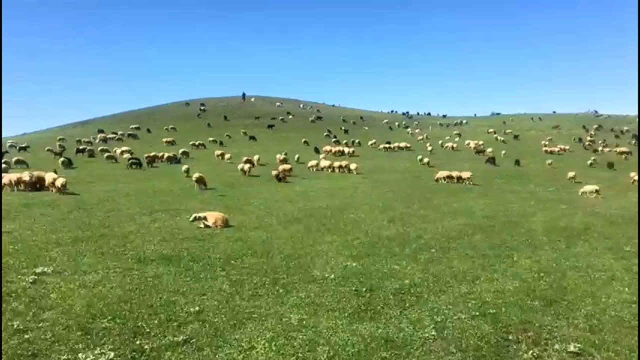 گوشه‌ای از طبیعت چشم‌نواز در روستای آینه‌ده + فیلم