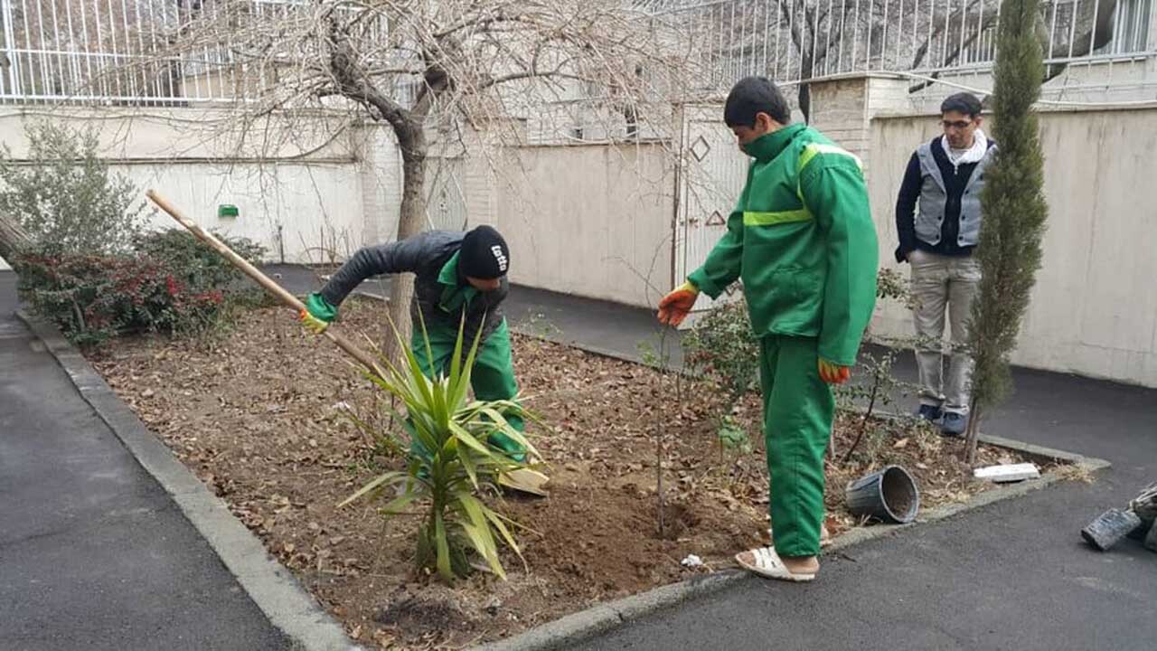 از ابتدای سال تاکنون، بیش از ۷ هزار نهال در معابر و بوستان‌های منطقه ۱۱ کاشته شده است