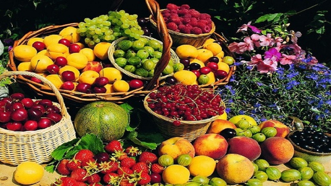 چگونه در فصل بهار تغذیه مناسب داشته باشیم؟