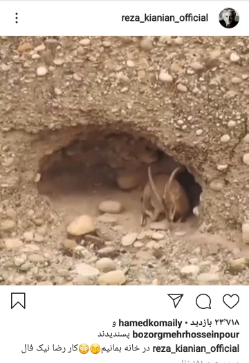 بسته هنرمندان
