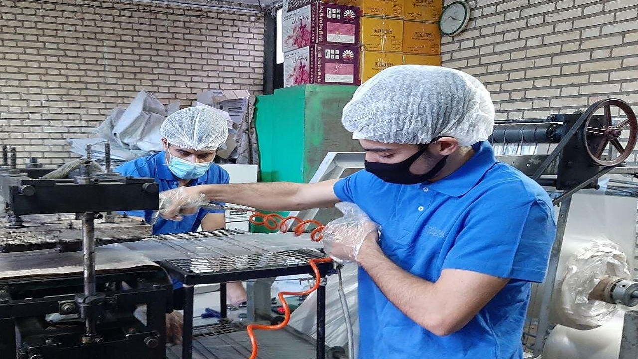 تولید دستکش در چهارمحال و بختیاری سه برابر افزایش یافت