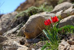 ایرانِ ما؛ روستای تاریخی حیله ور