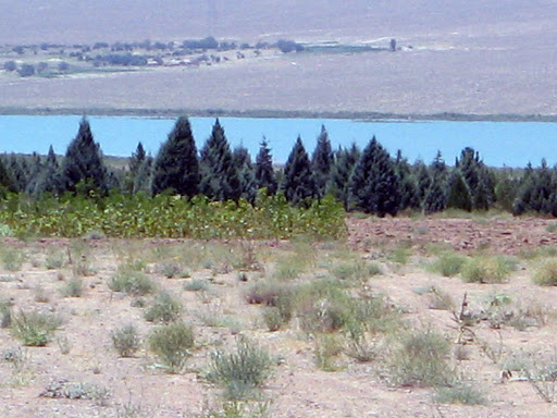 شهرداری دلیجان واگذاری بوستان ۱۵ خرداد را نمی پذیرد