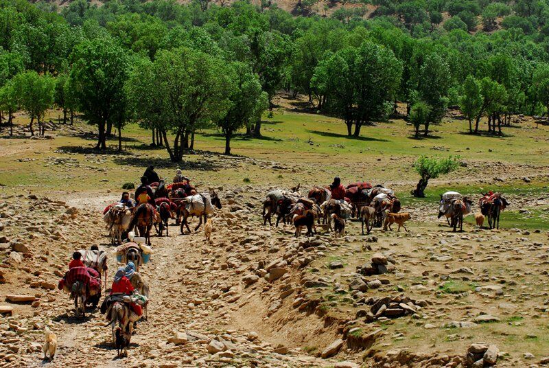 تصرف ۳۵ هکتار از ایل‌راه‌های کهگیلویه وبویراحمد